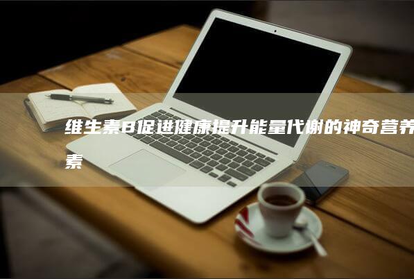 维生素B：促进健康提升能量代谢的神奇营养素